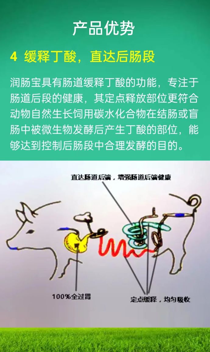 ��ϵ����